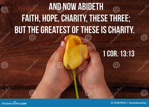 charity meaning in bible